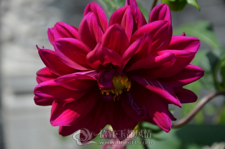 DSC_5027.jpg