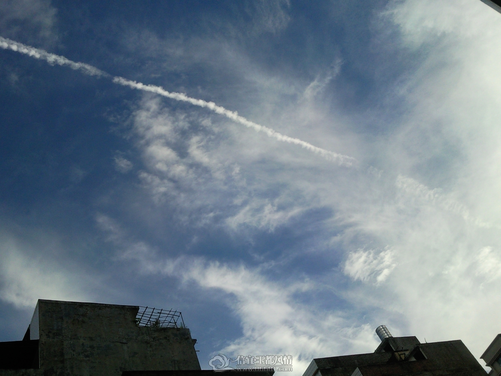 SNC00305.jpg