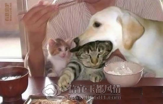  Ҫ˵�Ļ������Ѿ������������~