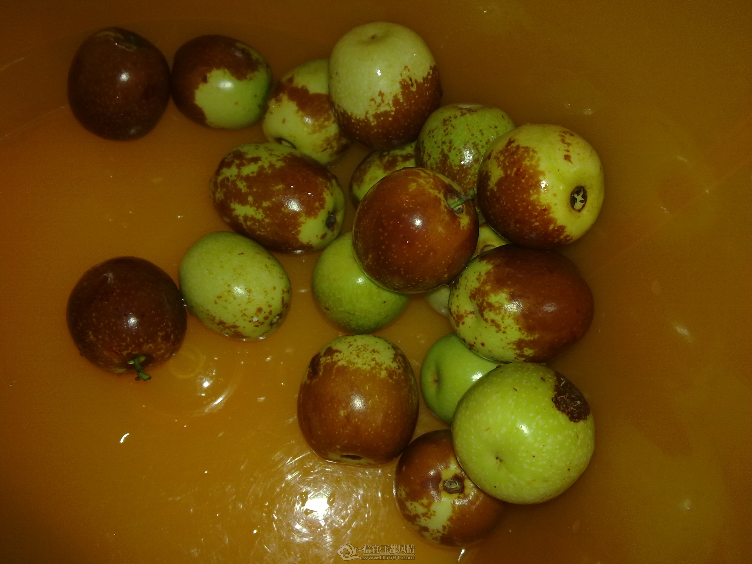 201208211588.jpg
