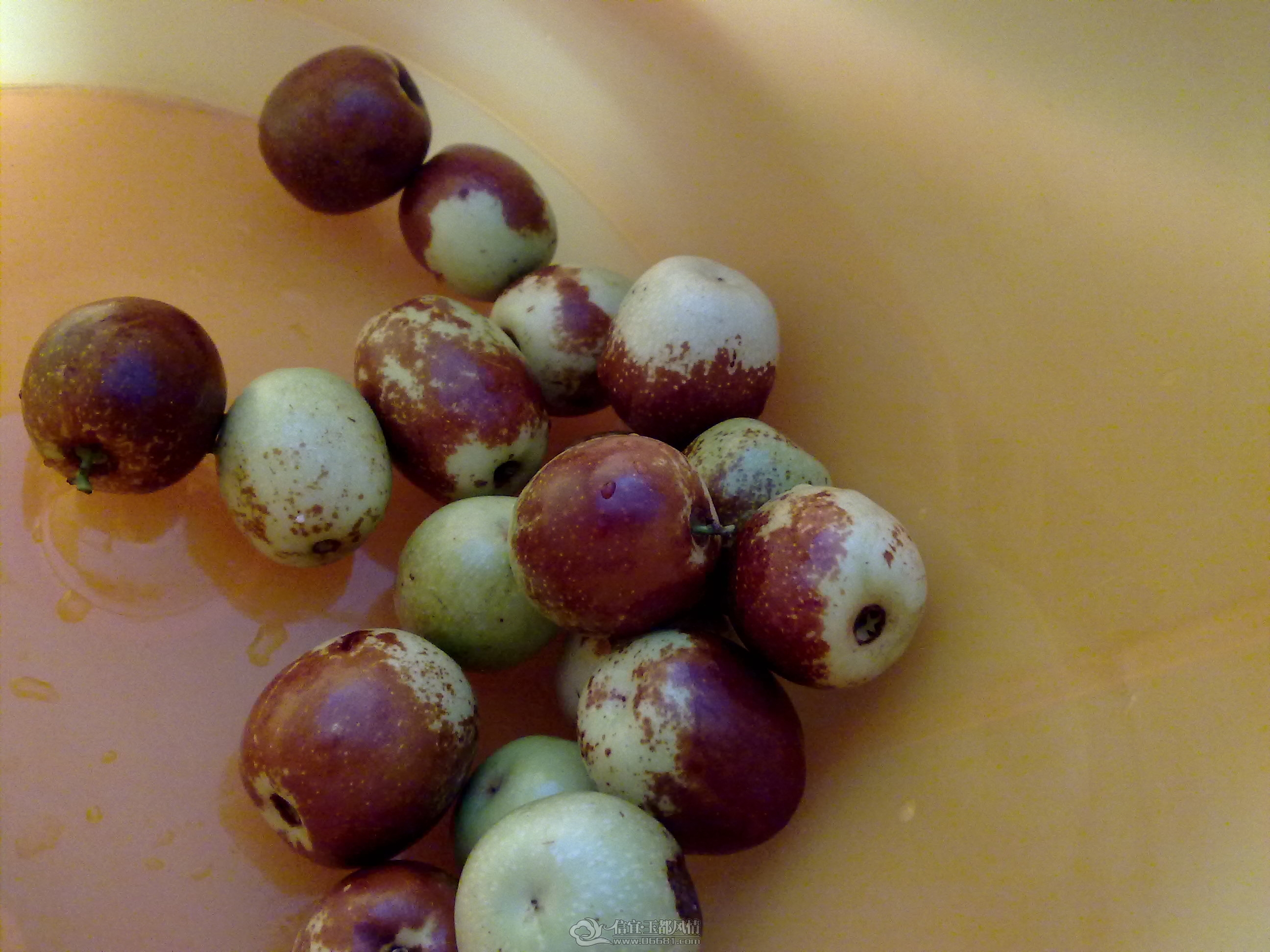 201208211589.jpg