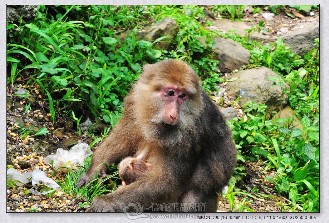 DSC_0406_nEO_IMG.jpg