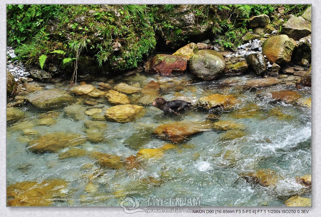 DSC_0415_nEO_IMG.jpg