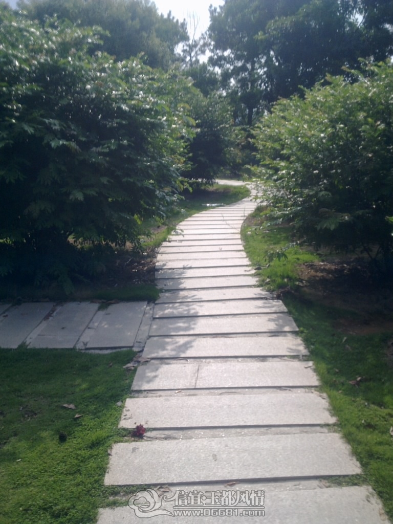 20120825416.jpg