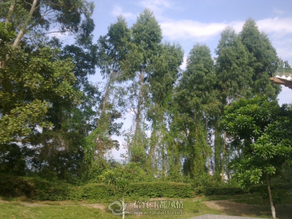 20120825418.jpg