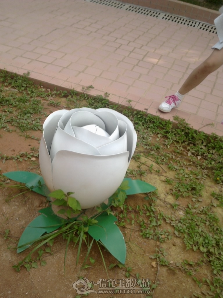 20120825428.jpg