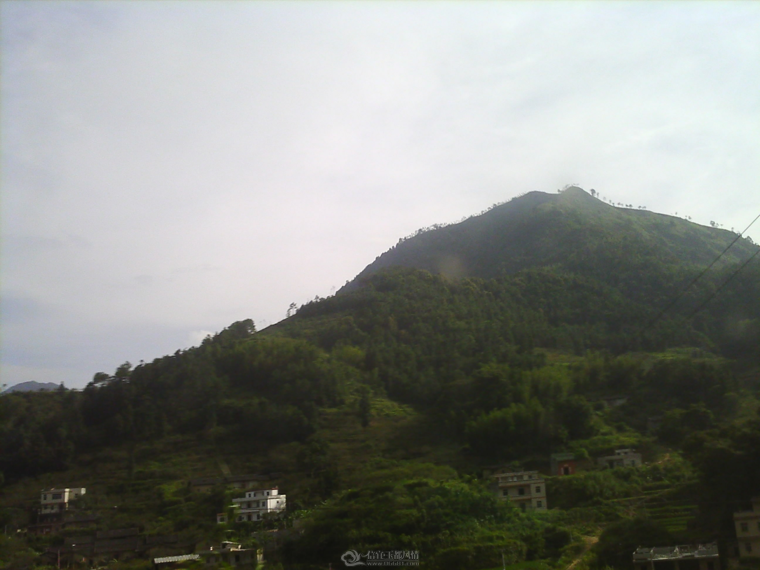 IMG_0055.JPG