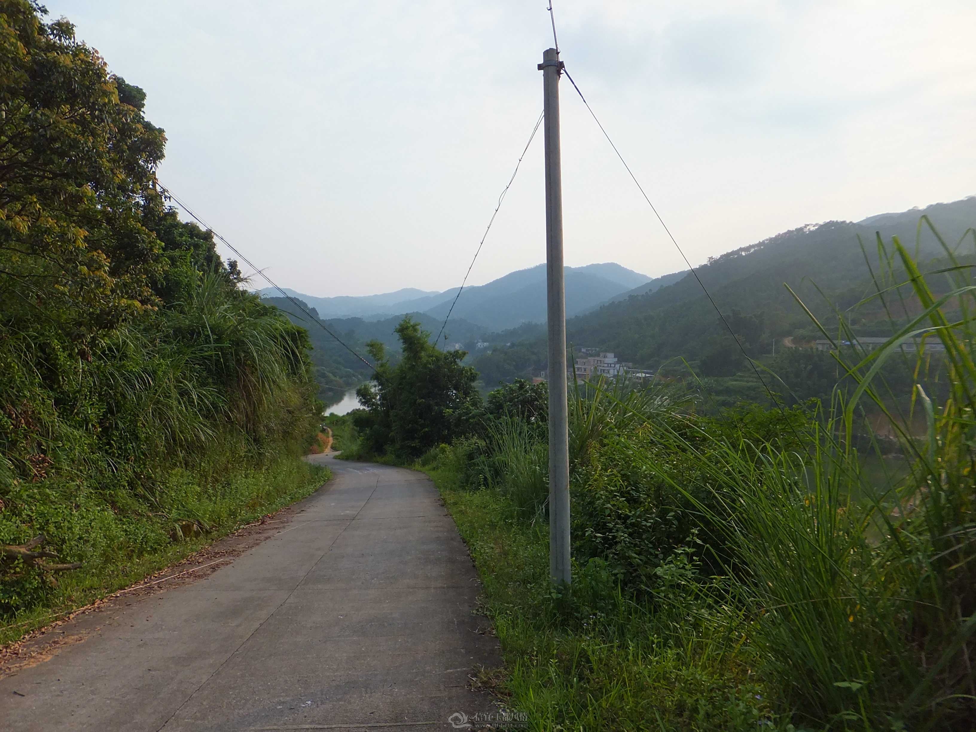 DSCF1446.jpg
