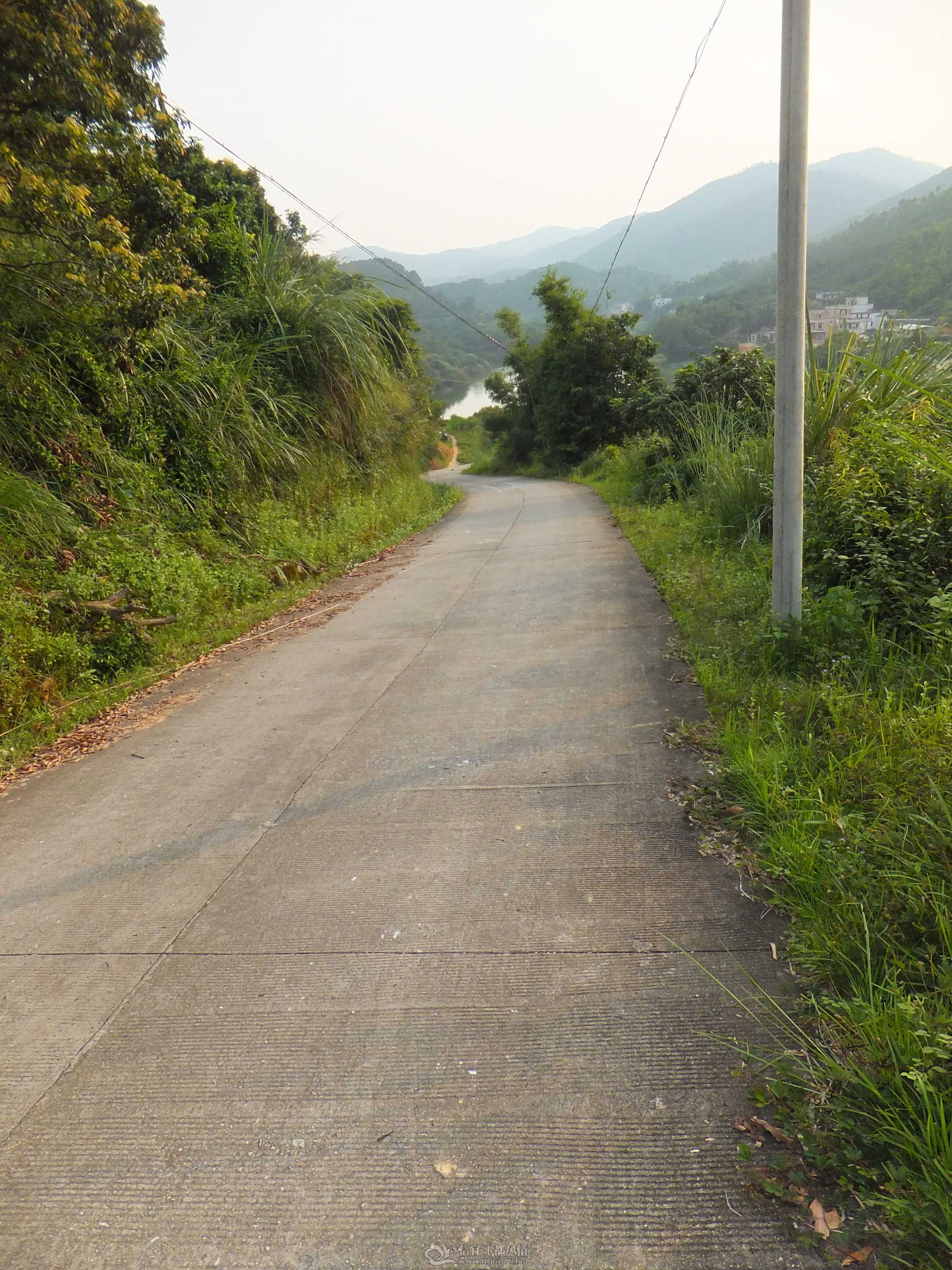 DSCF1447.jpg