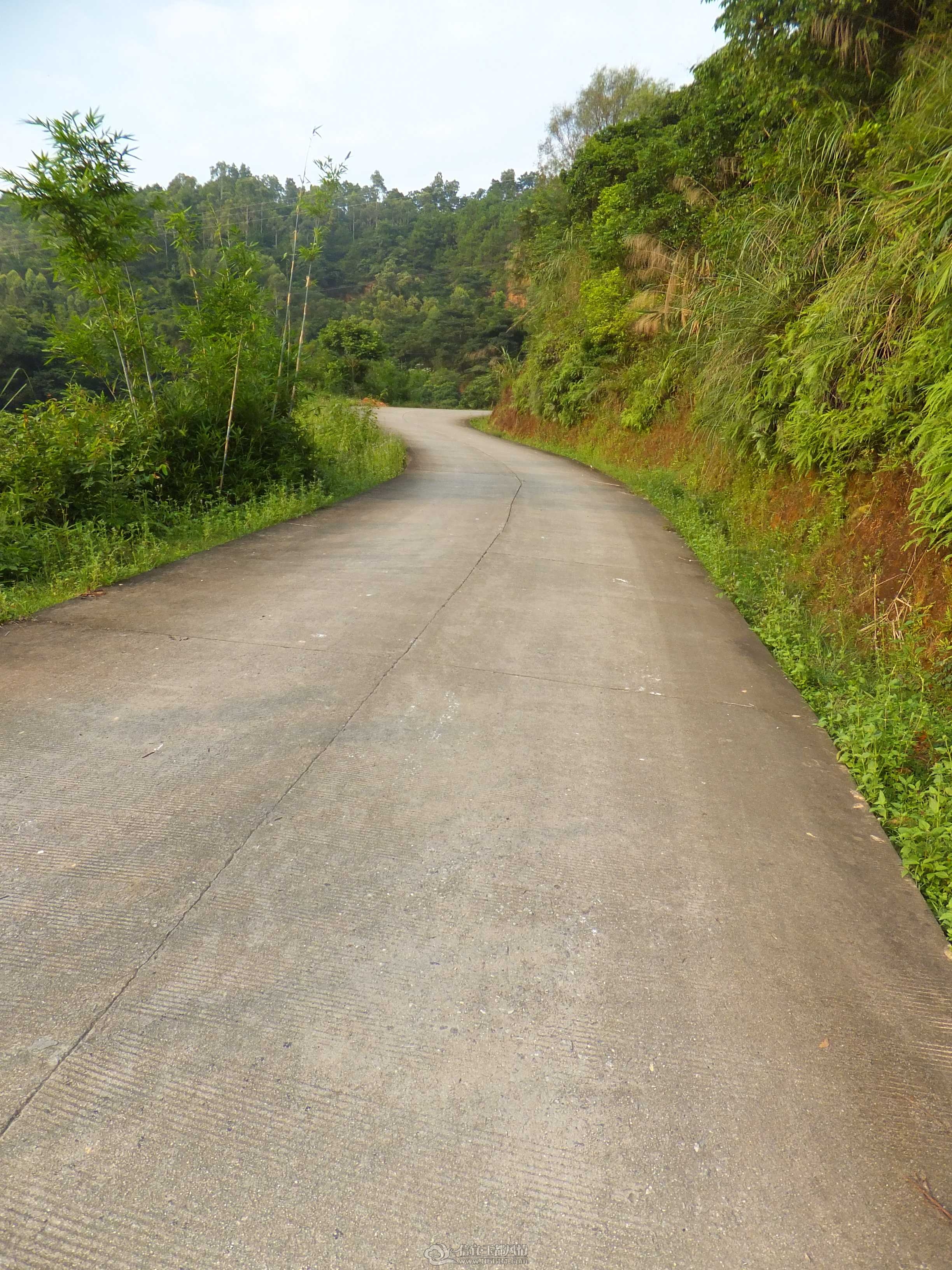 DSCF1451.jpg