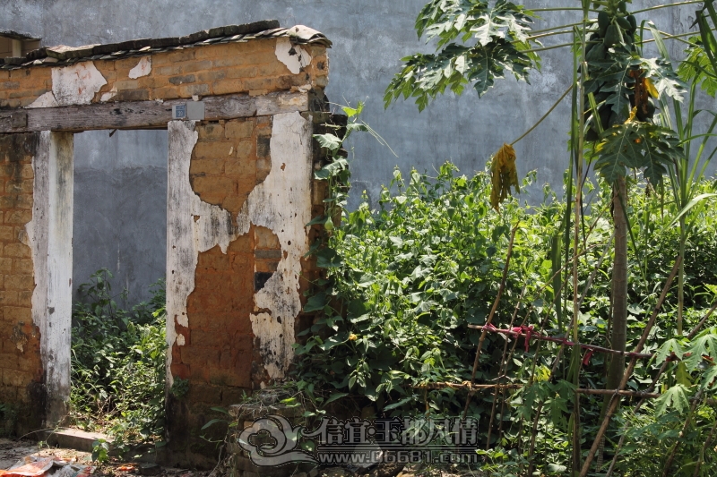 DPP_0074.JPG