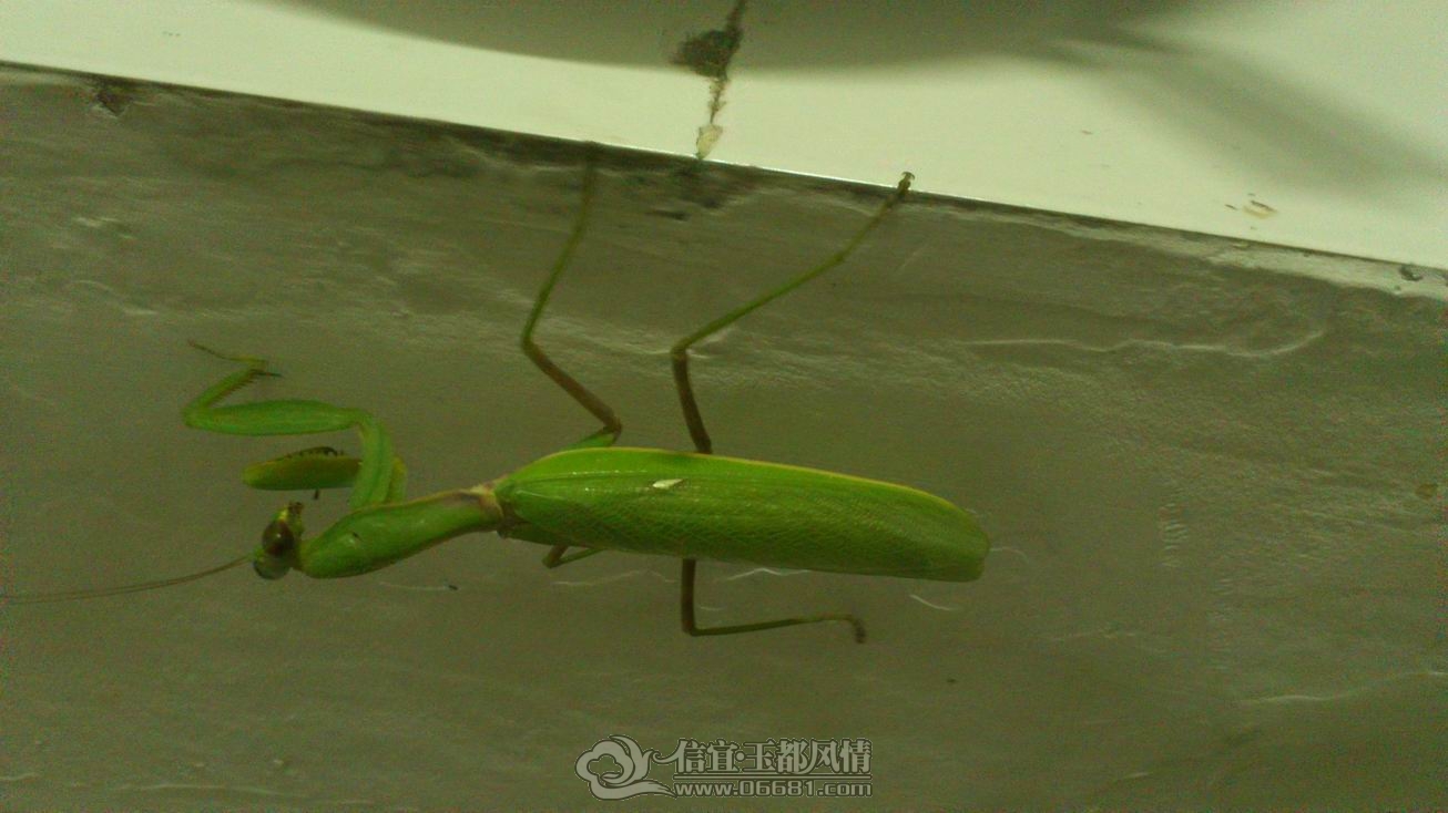DSC_0005.JPG