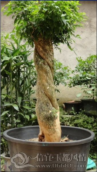 E923EGNA{H5}82~JSKWE.jpg