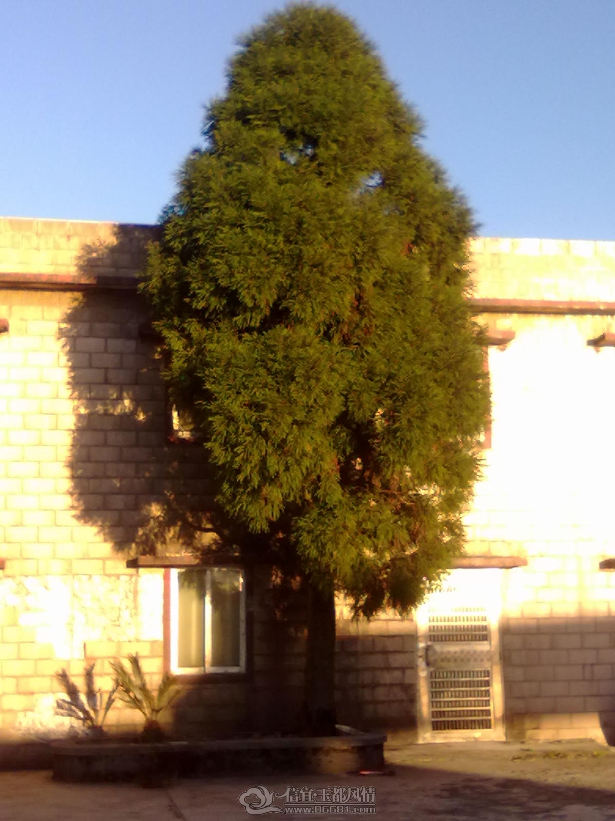 20101029075.jpg