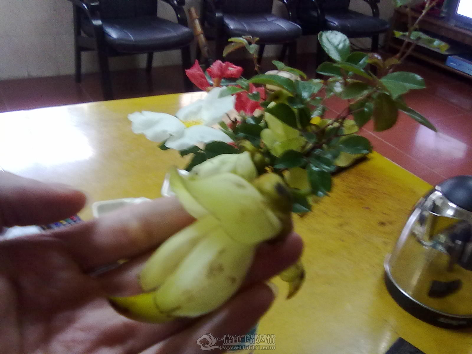 20110428134.jpg
