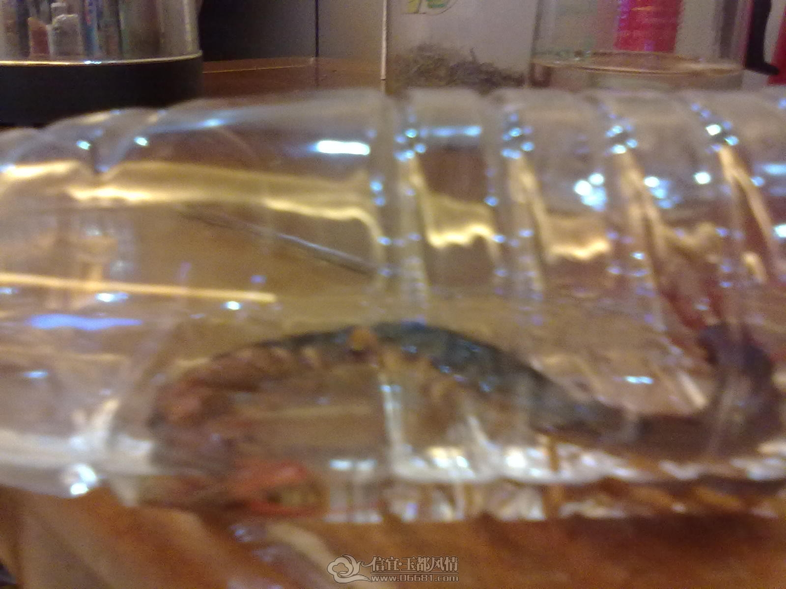 20120901306.jpg
