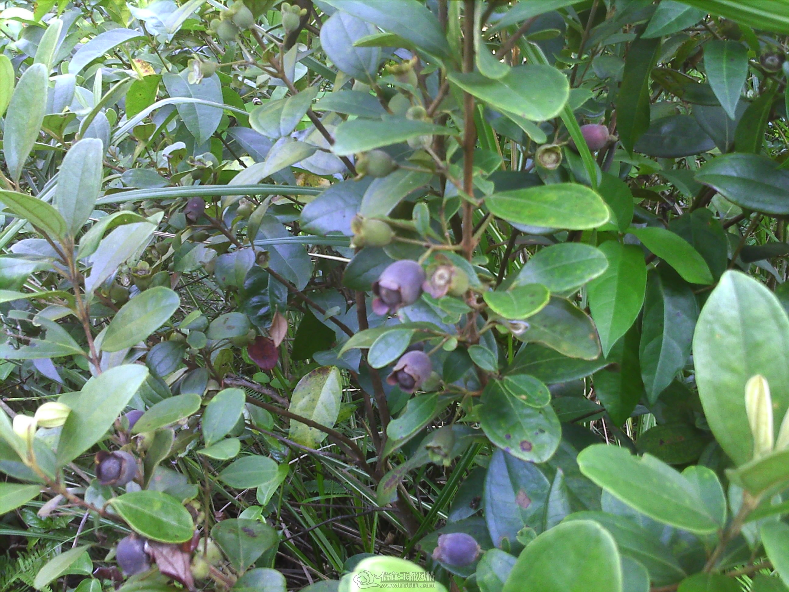 IMG_0057.JPG