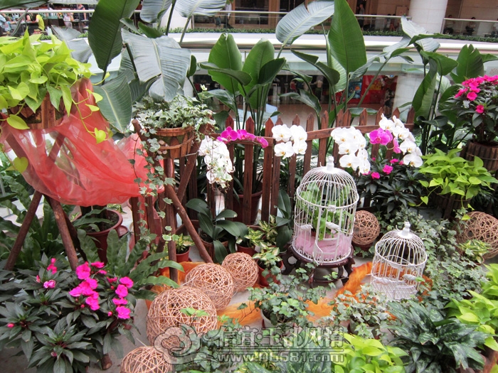 IMG_0113.JPG