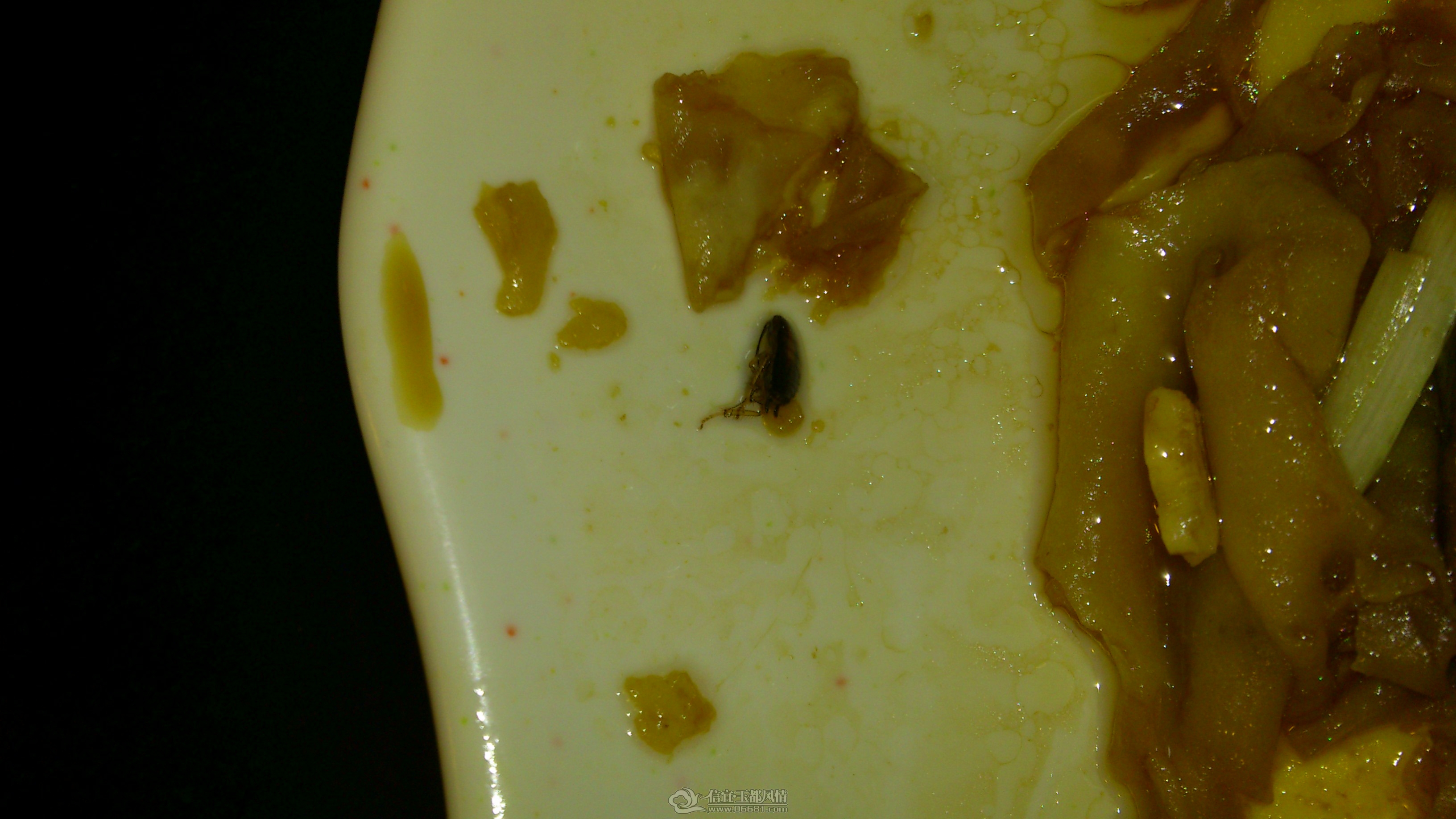 DSC_5108.JPG