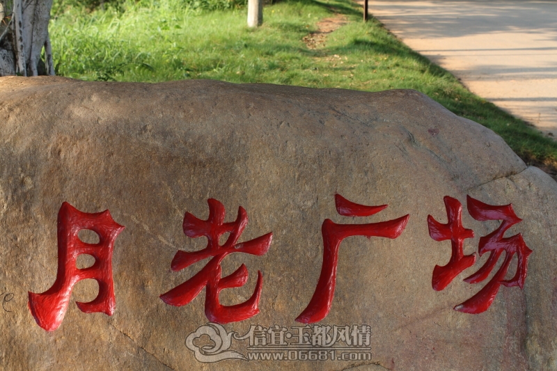 DPP_0009.JPG