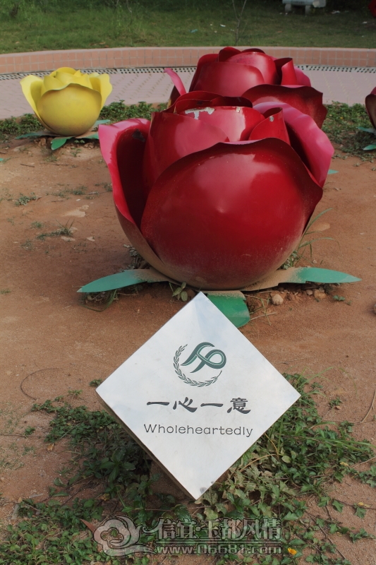 DPP_0008.JPG