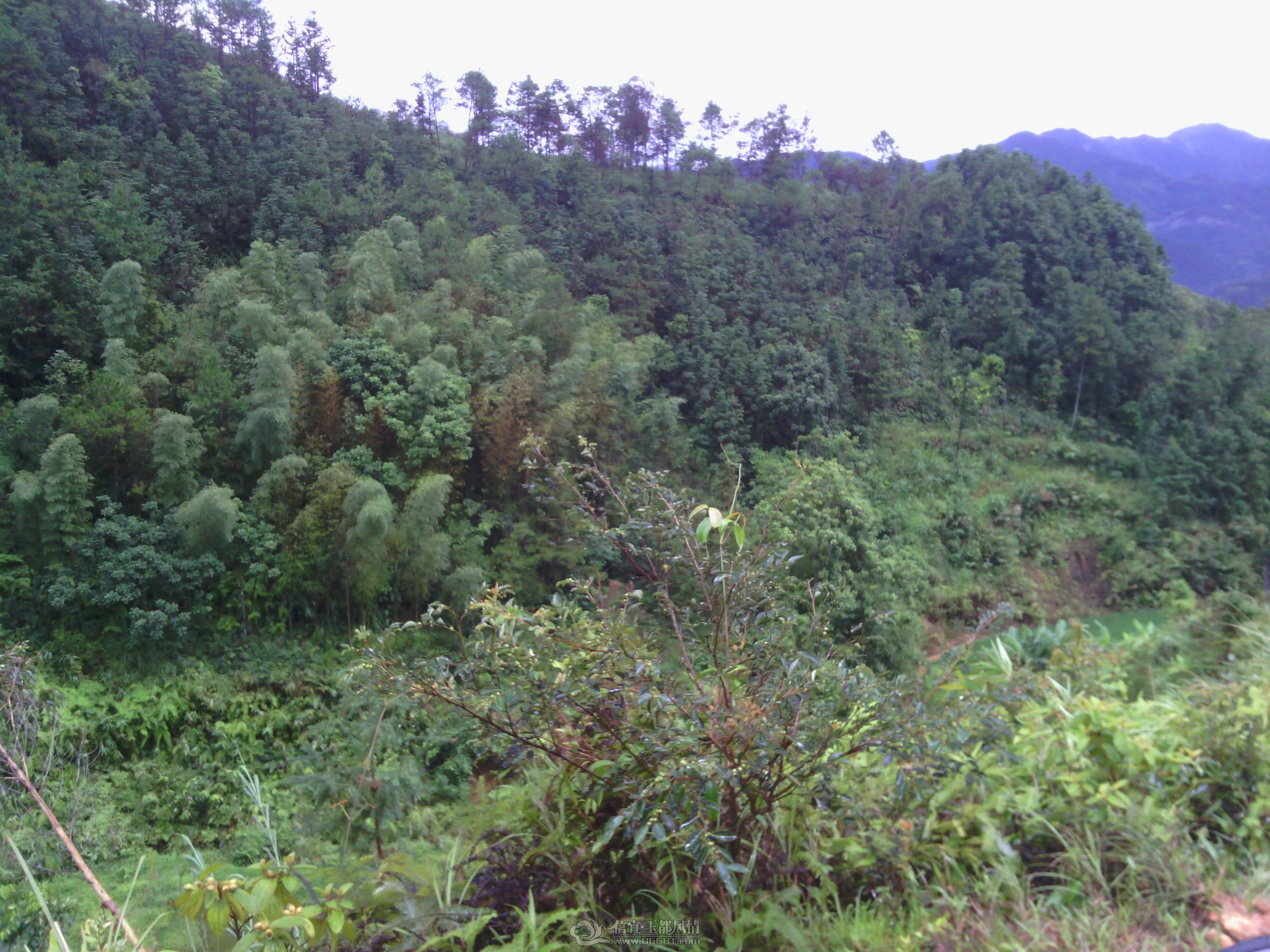IMG_20120902_144356.jpg
