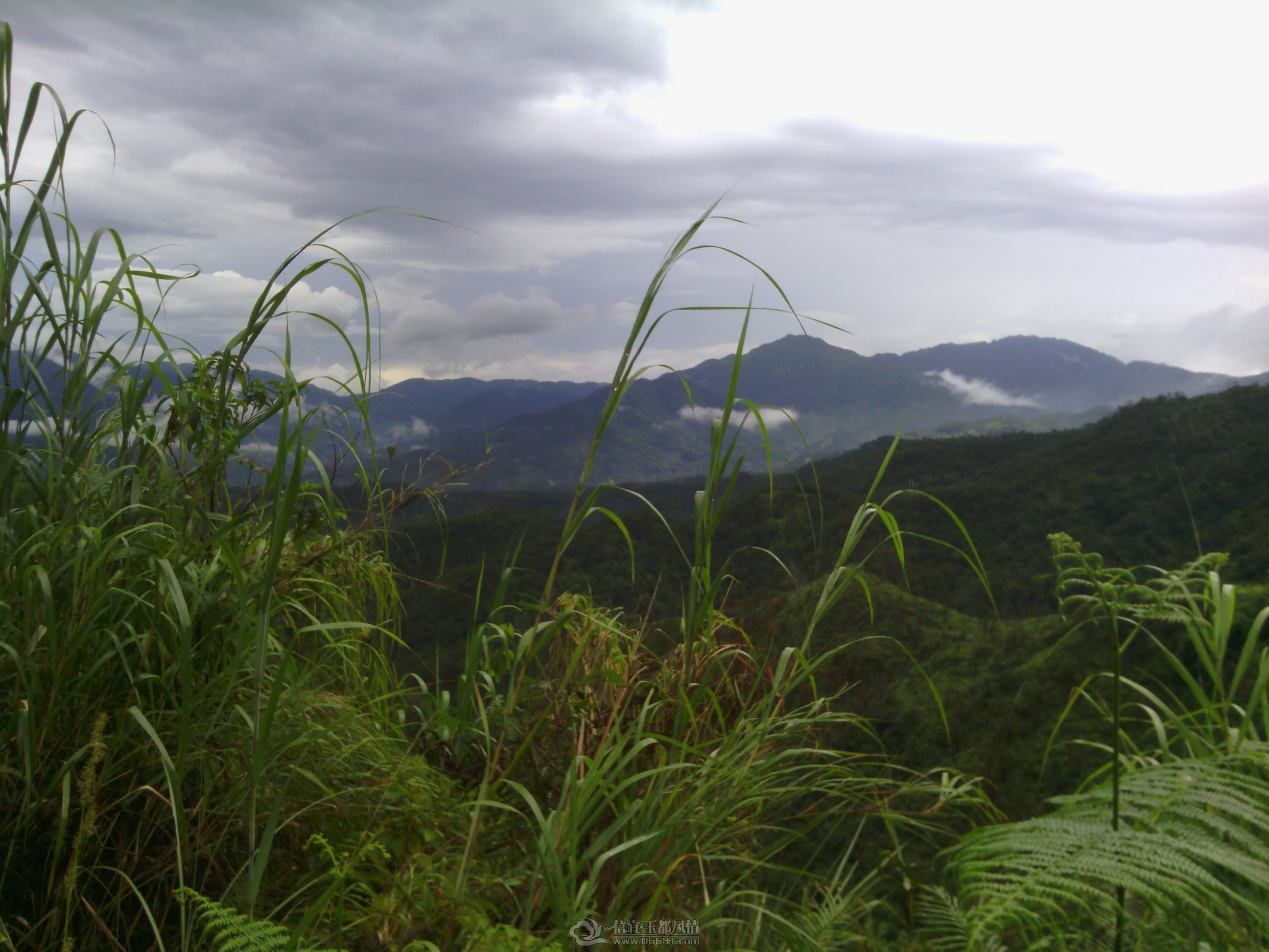IMG_20120902_144602.jpg
