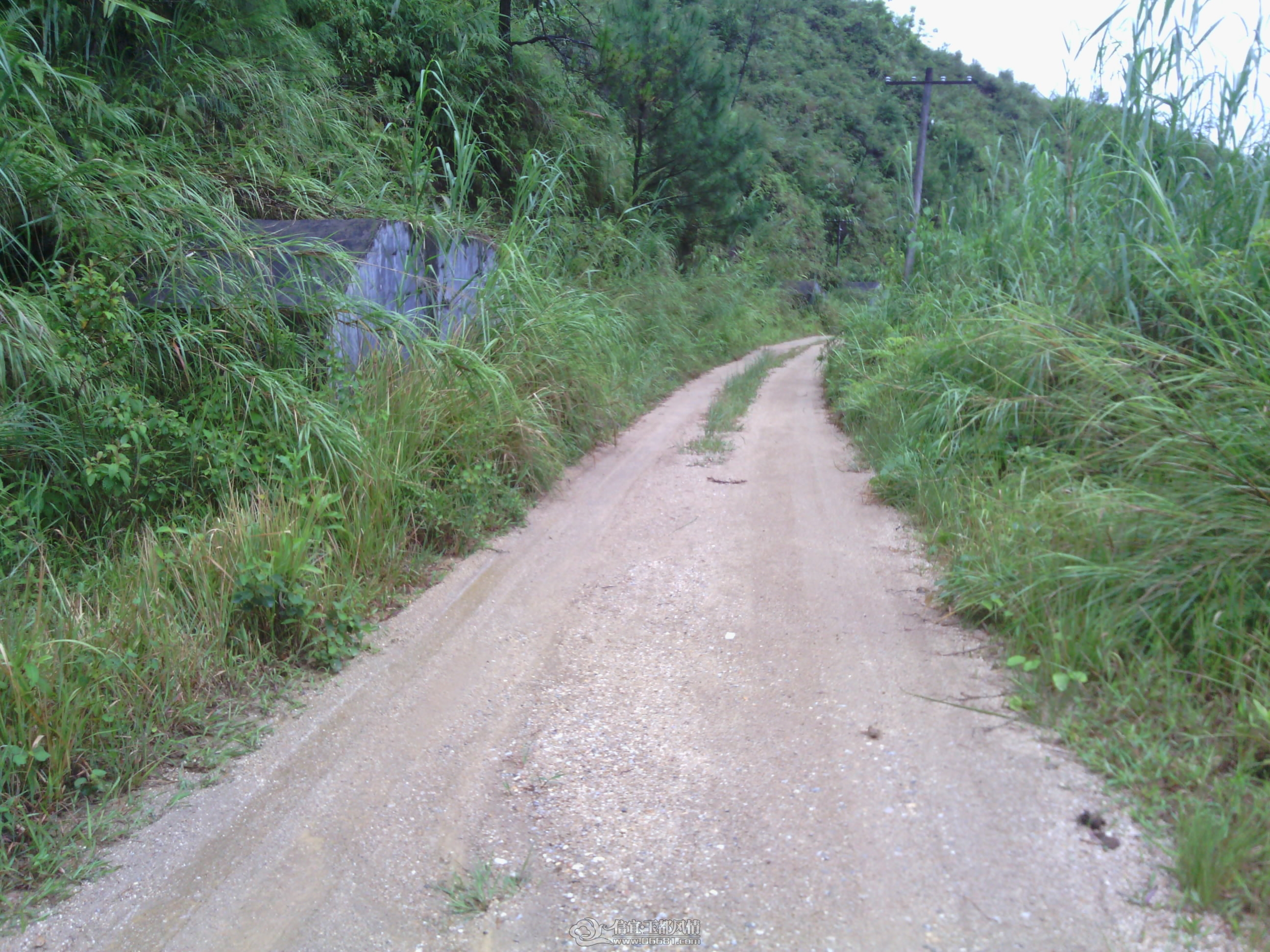 IMG_20120902_144629.jpg