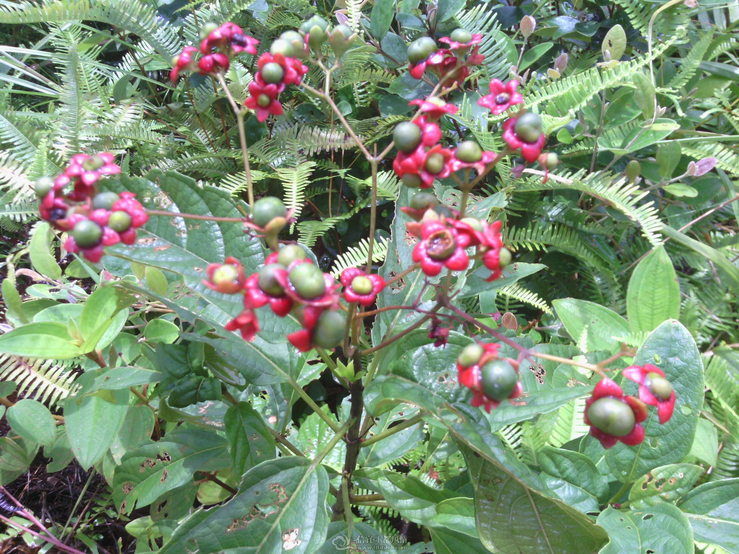 IMG_20120902_145339.jpg