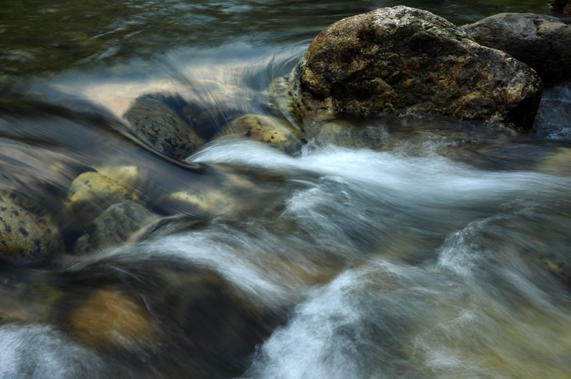 DSC_3290.JPG