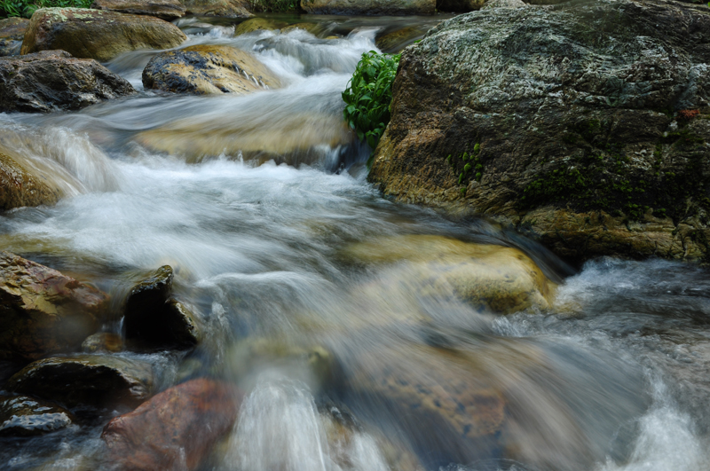 DSC_3272.JPG
