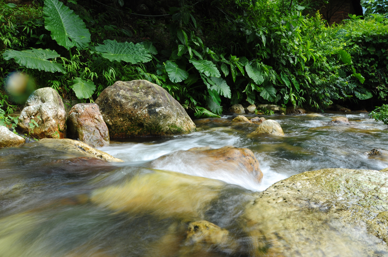 DSC_2873.JPG