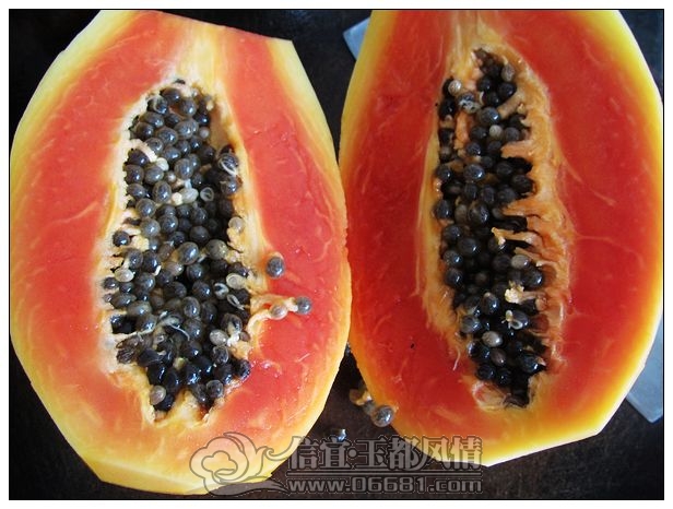 ѩ��ľ����ˮ4.jpg