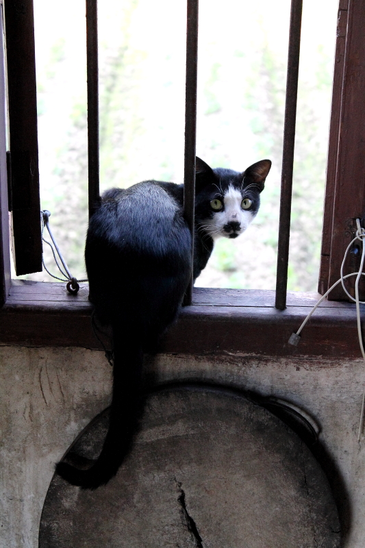 IMG_1778PP.JPG