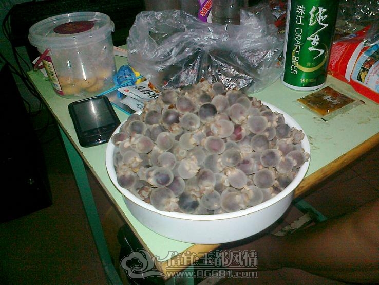 20120914407.jpg
