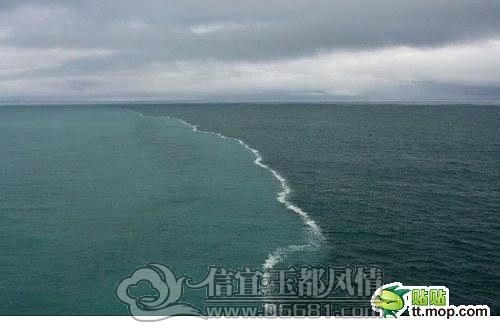 8799de91gw1dwabuaznb3j[1].jpg