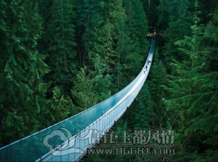 8799de91gw1dwabul4b5wj[1].jpg