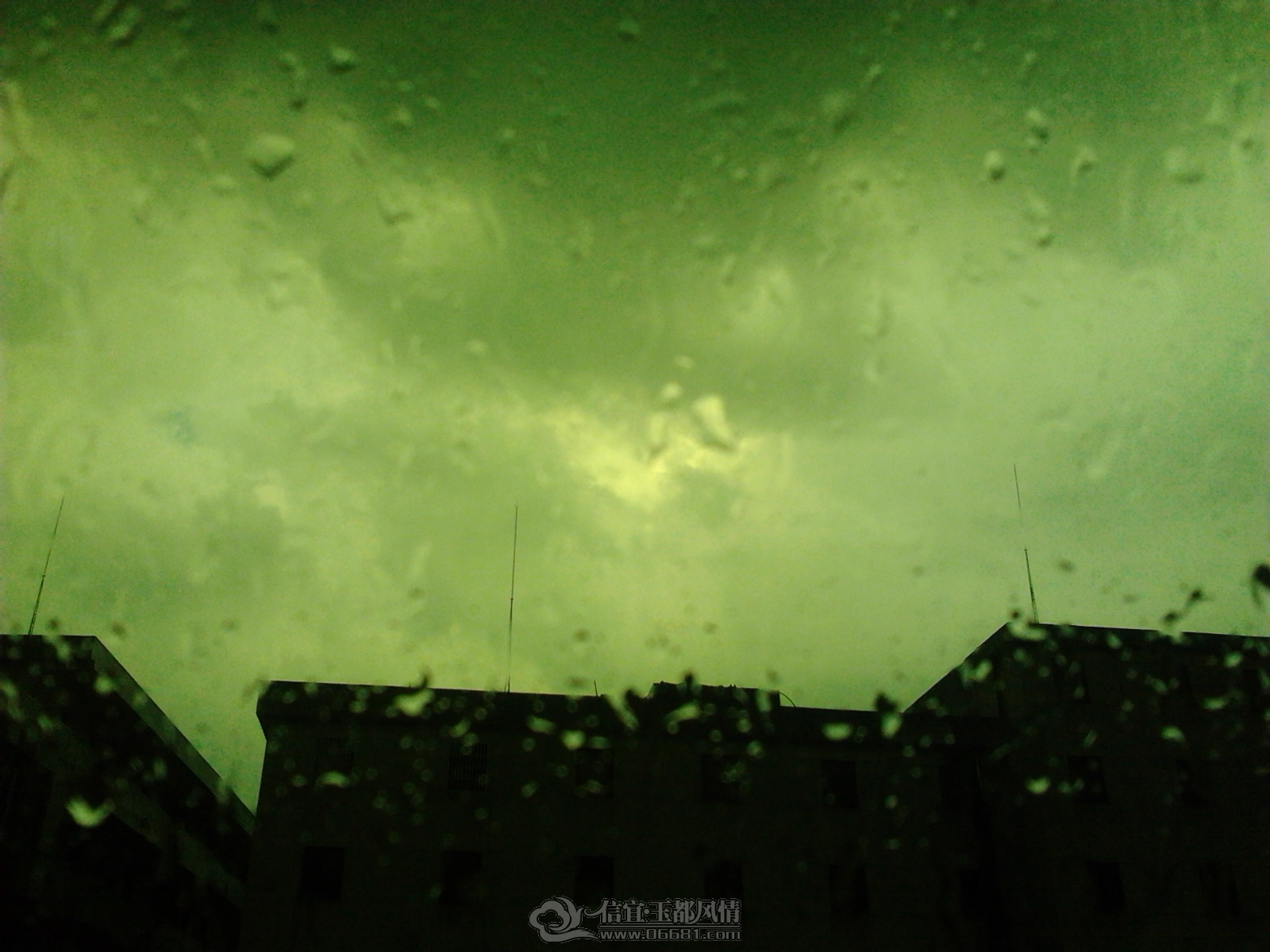 2012-09-13 15.24.45.jpg