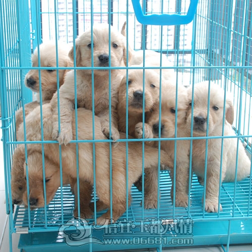 0603223325651.gif.jpg
