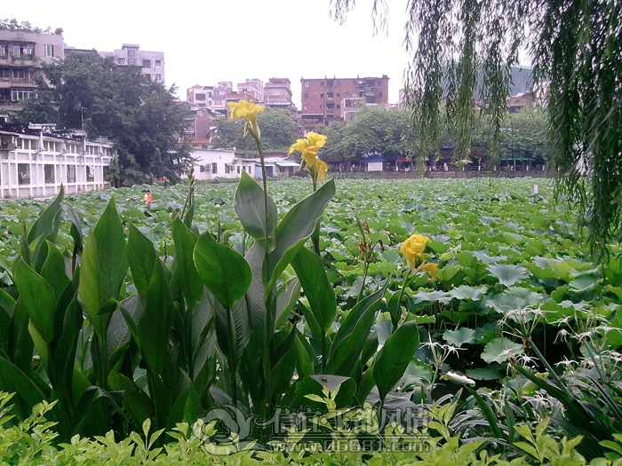P22-06-12_12.15.jpg