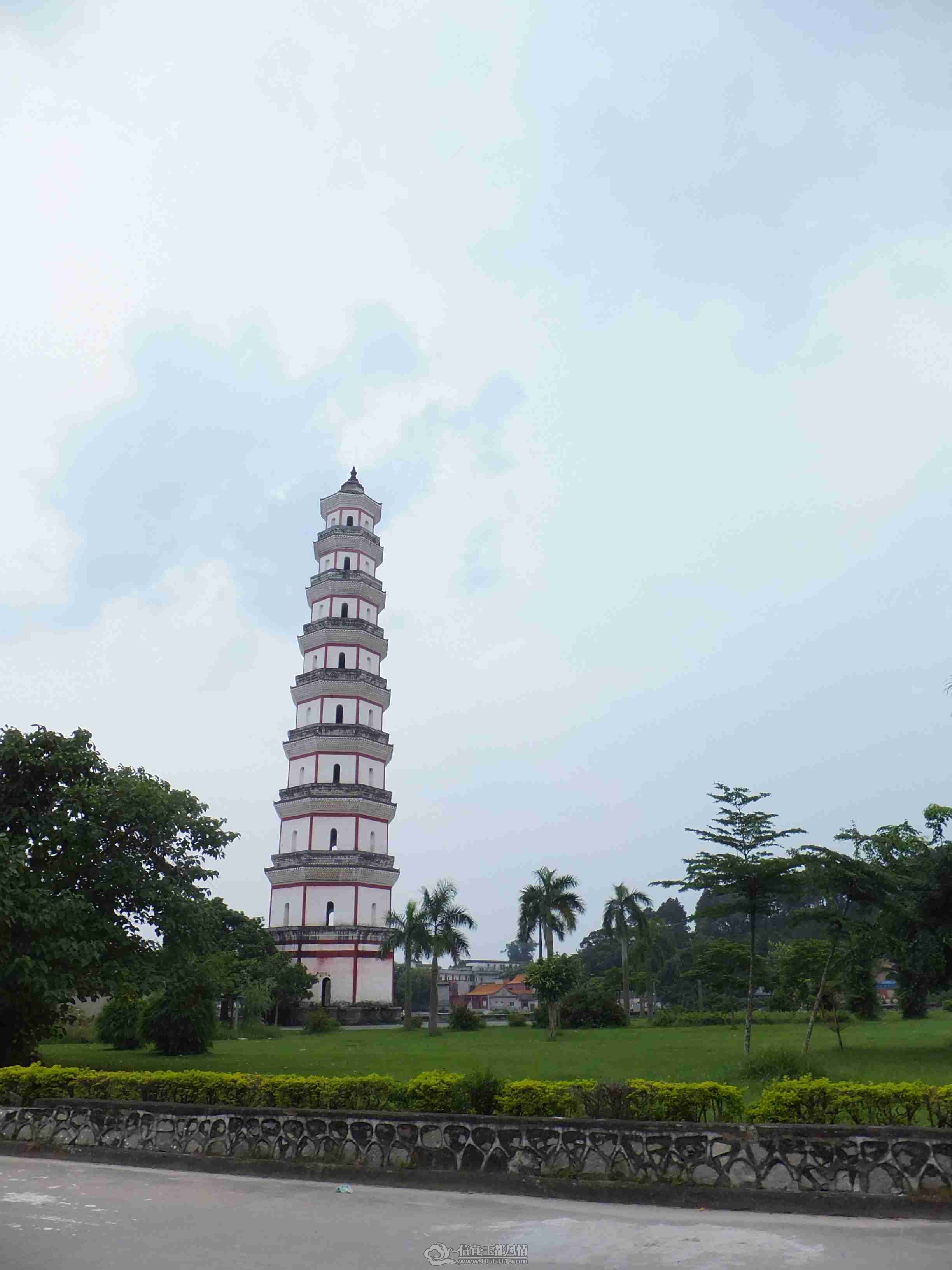 DSCF1213.jpg