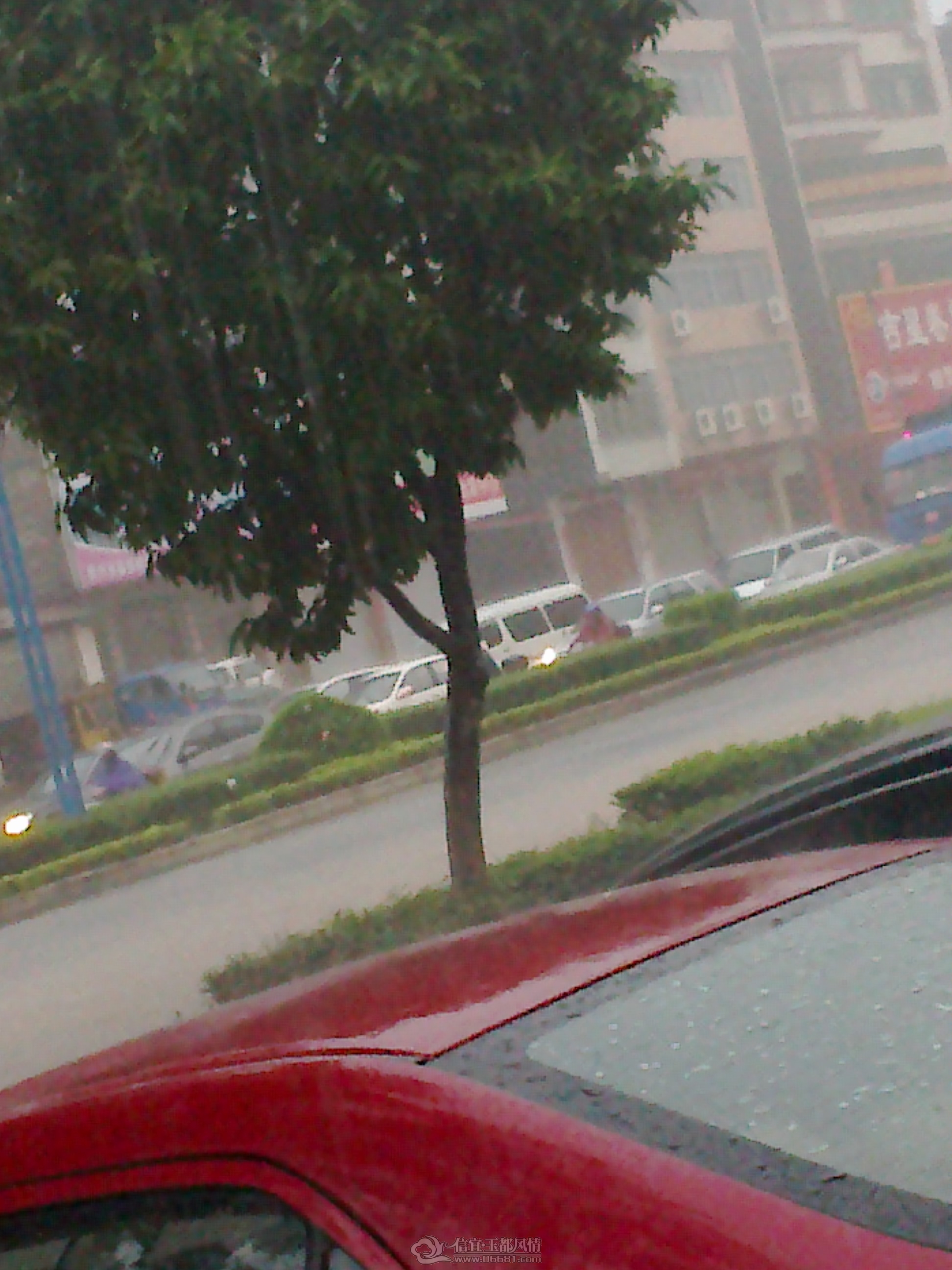 20120925277.jpg