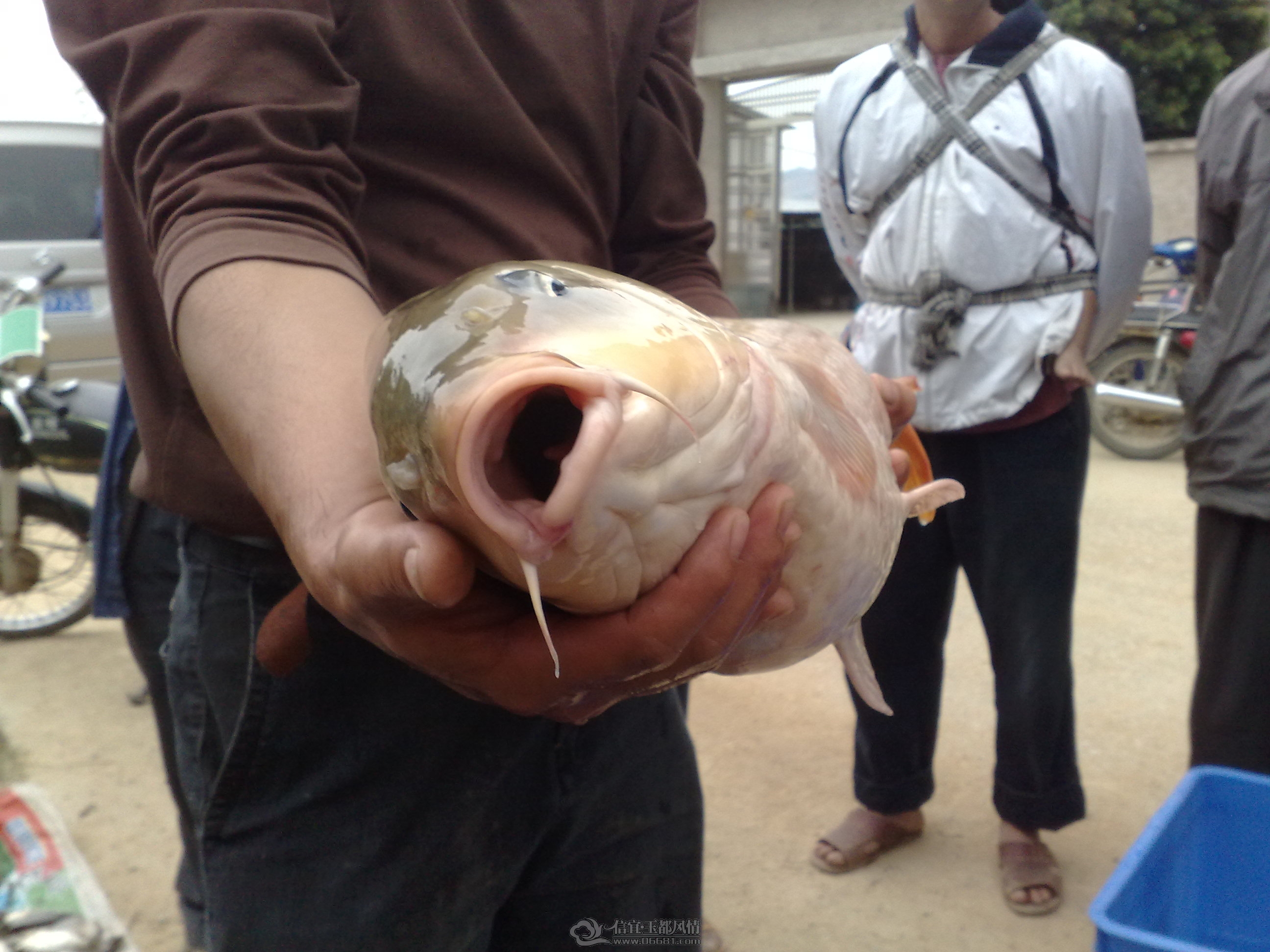 20111206292.jpg