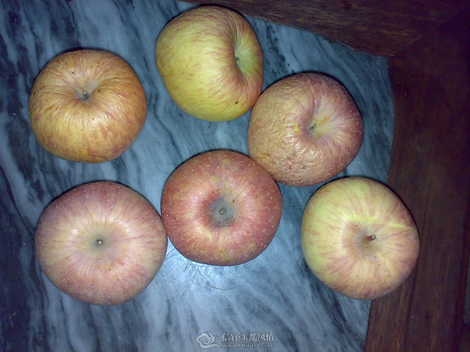 20120818824.jpg