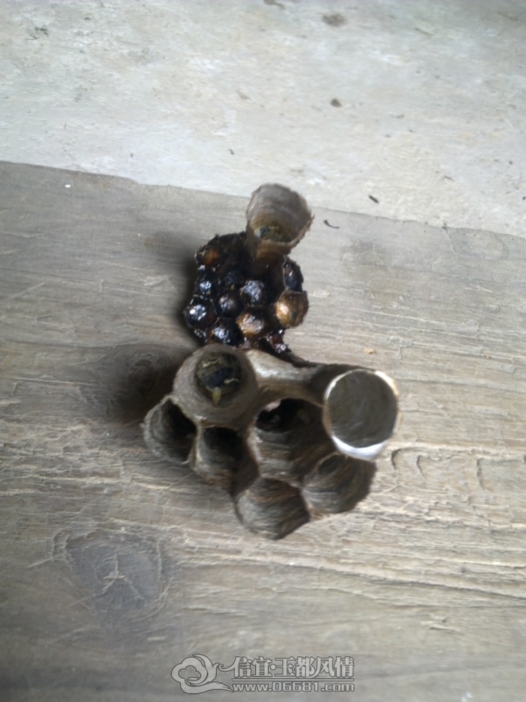 20120929454.jpg