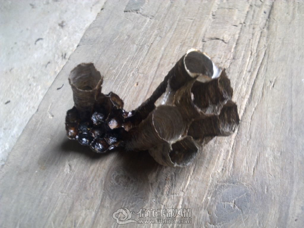20120929455.jpg