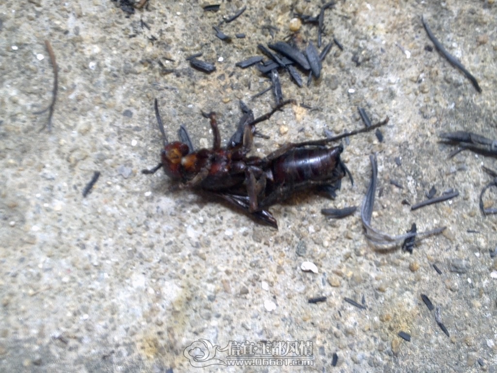 20120929456.jpg
