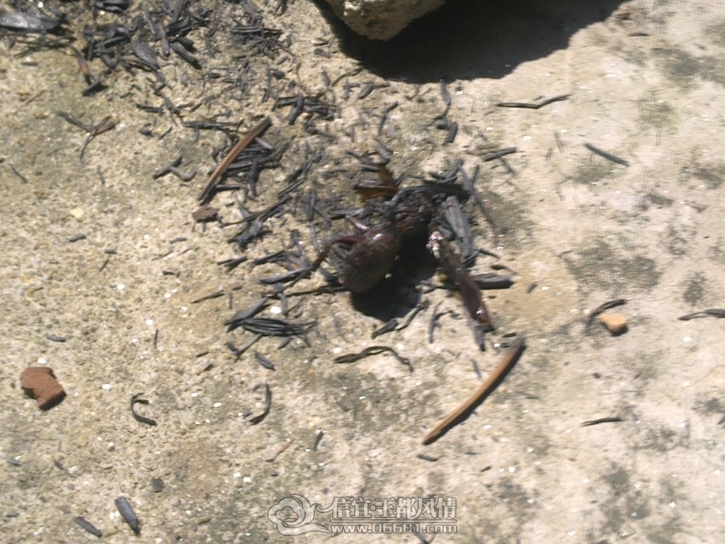 20120929459.jpg