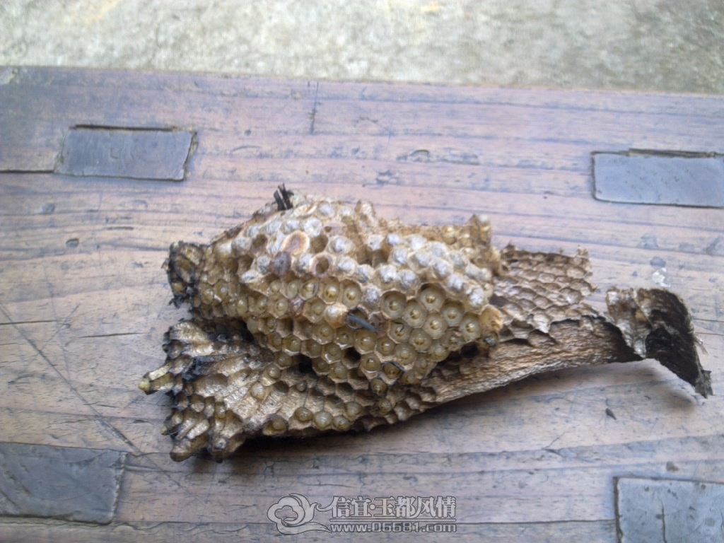 20120929462.jpg