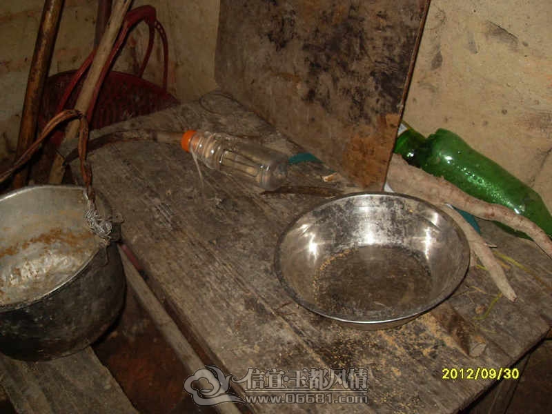 SDC16862.jpg